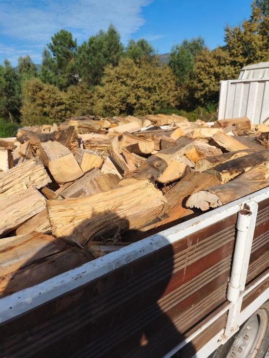 Venda de lenha com qualidade