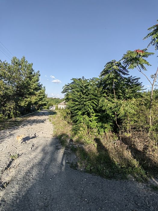 Продам участок 12 соток. Краснополье. - View 4