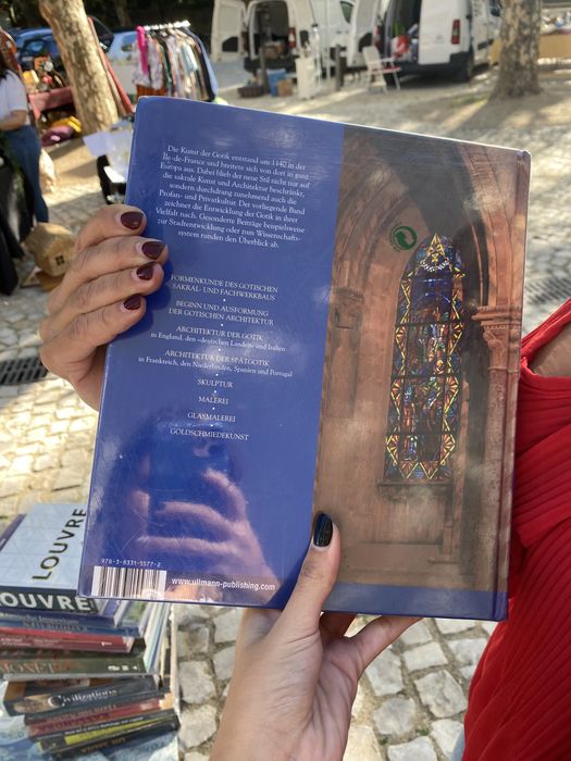 Book “Gotik Architektur Malerei”
