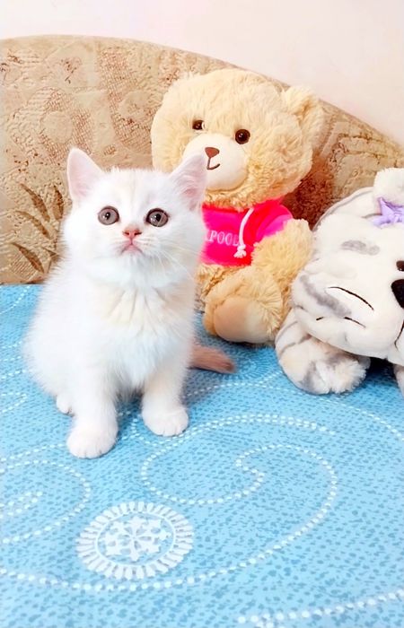 Красотуличка, невероятно ласковая малышка