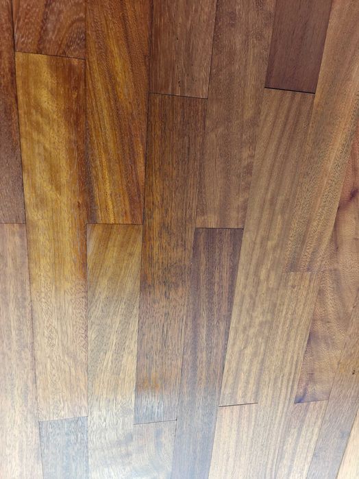 Parkiet Iroko egzotyk Okazja