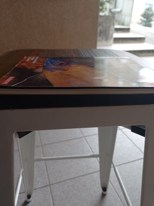 Livro de ciclídeos