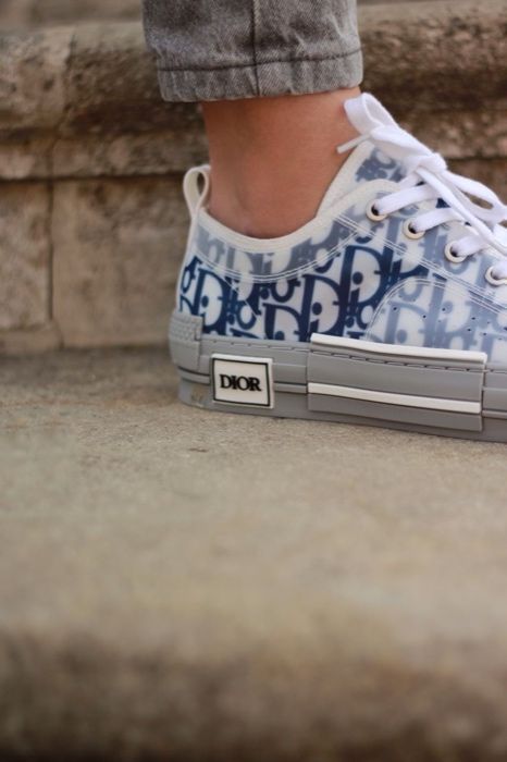 Dior Low Grey/Blue