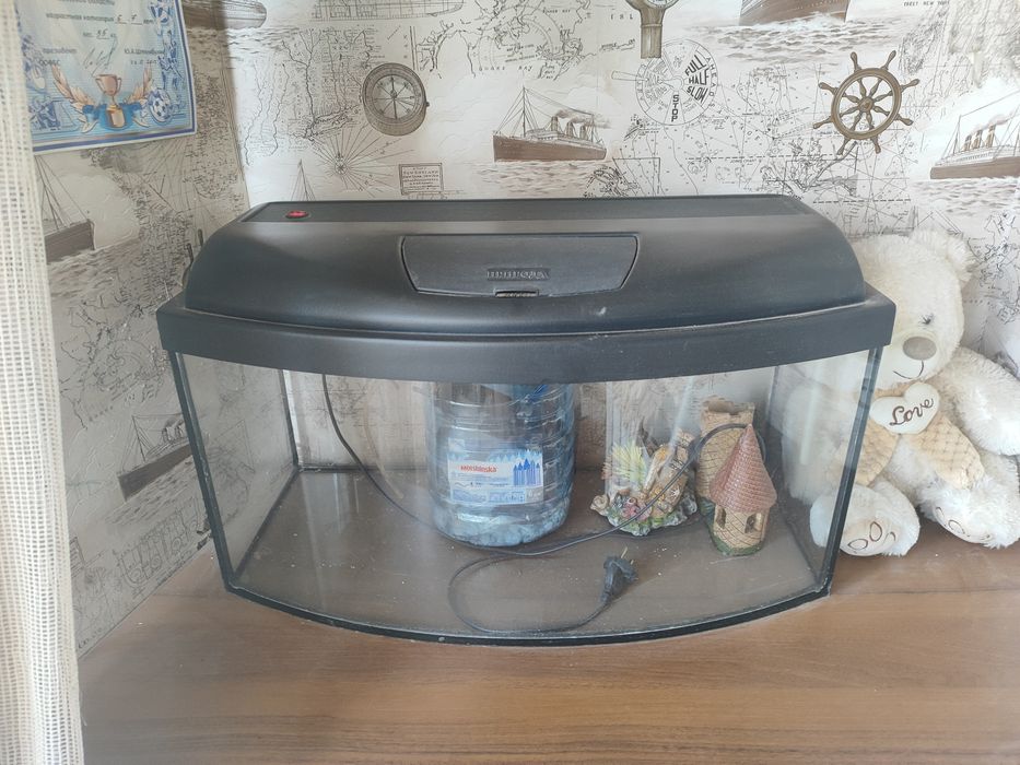 Акваріум з підсвічуванням