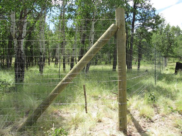 Ogrodzenia z siatki leśnej, siatka leśna