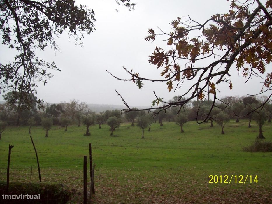 Herdade do Monte da Pedra.