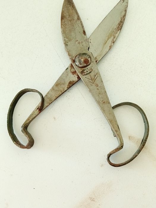 Tesoura de tosquia nova para pequenos trabalhos