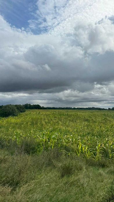 Działka inwestycyjna 5 min od Pruszcza Gdańskiego – ogromny potencjał