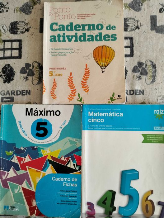 Cadernos de atividades e manuais (5º,6º e 7ºano)