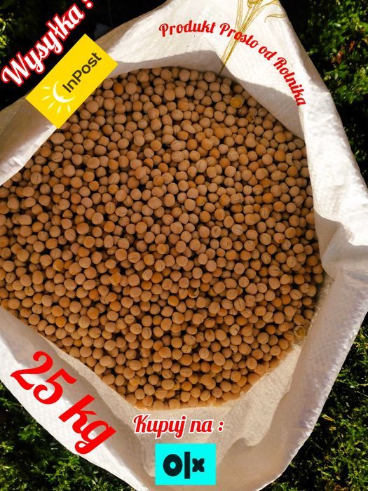Groch karma opakowanie 25 kg wysyłka natychmiast Inpost
