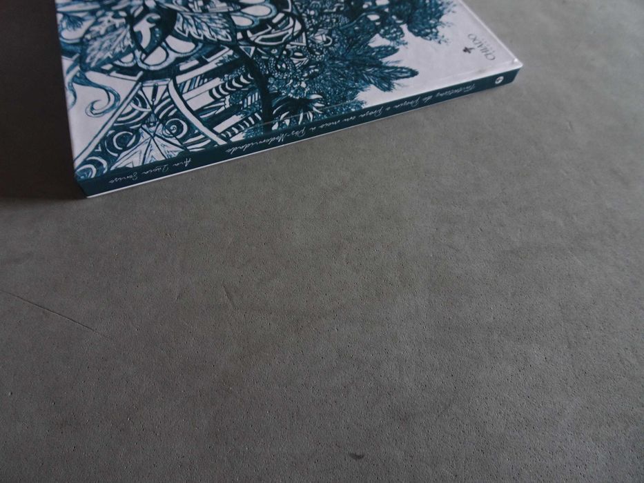 Livro Tentativas de poesia e prosa em meio moderno à Pós-modernidade
