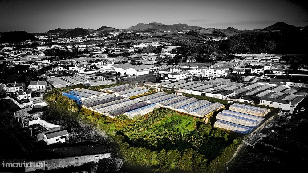 Propriedade Única com Estufas de Ananases e Potencial Urbano — Abelhei