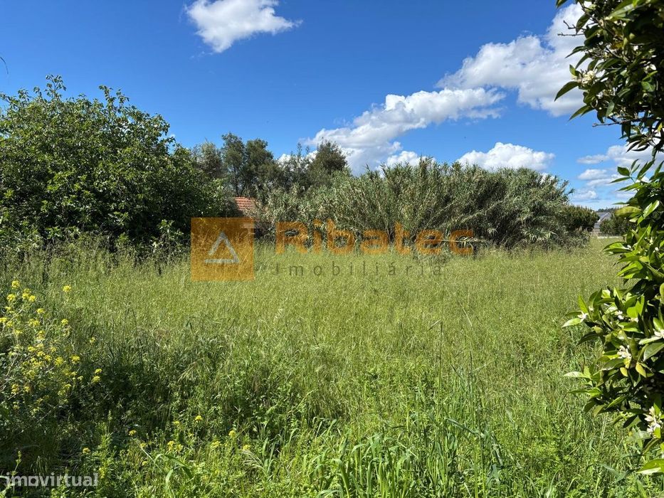 Terreno  Venda em Coruche, Fajarda e Erra,Coruche — Coruche, Fajarda E Erra, Santarém