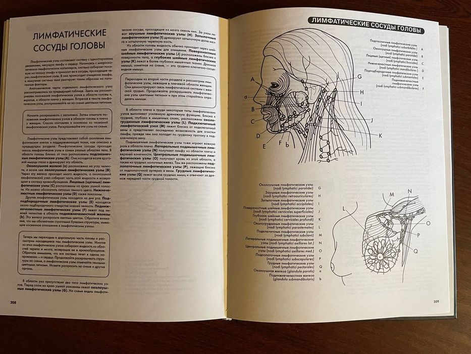 Атлас анатомии человека 

Эдуард Алкамо

Прекрасный атлас, в котором п