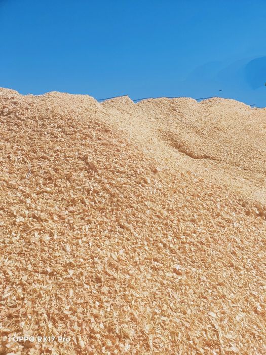 Podsypka pod borówkę, troty - oddam za darmo