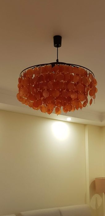 Candeeiro Gato Preto