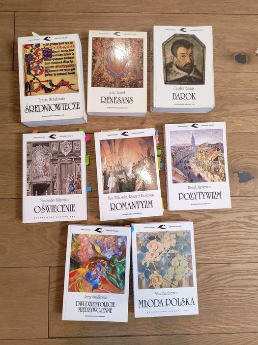 Średniowiecze Michałowska PWN