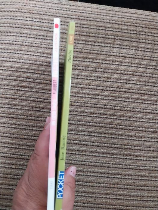 Conjunto de 2 livros. Portes incluídos