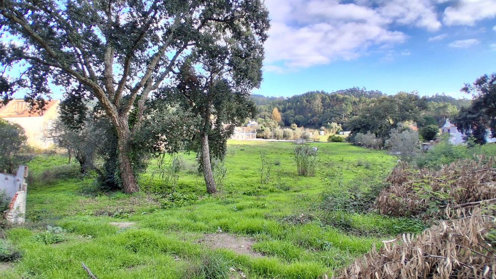 Quinta com 3 hectares a 20 km de Lisboa