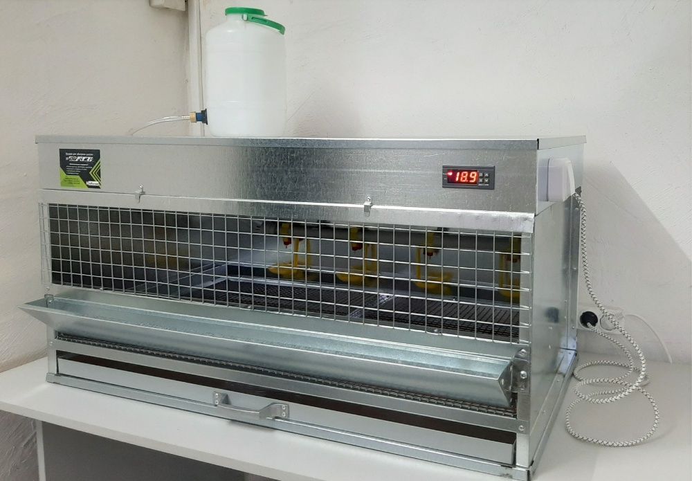 Брудер яслі клітка для пташенят обігріву бройлерів