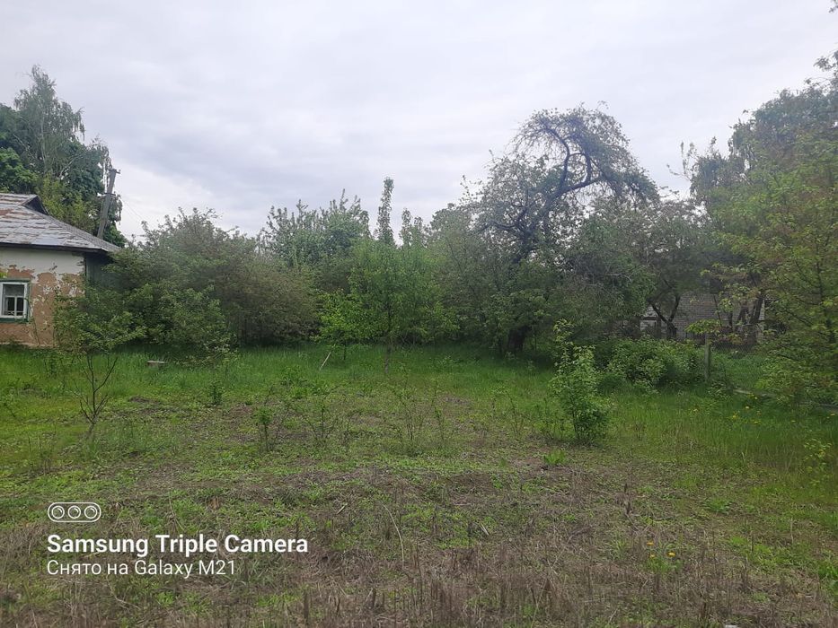 Помешкання в селі Мрин Ніжинського району.