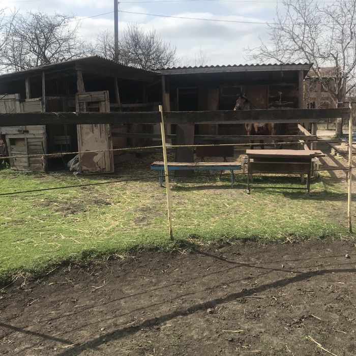Сдам дом 4000 грн