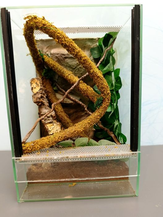 Terrarium wyposażone