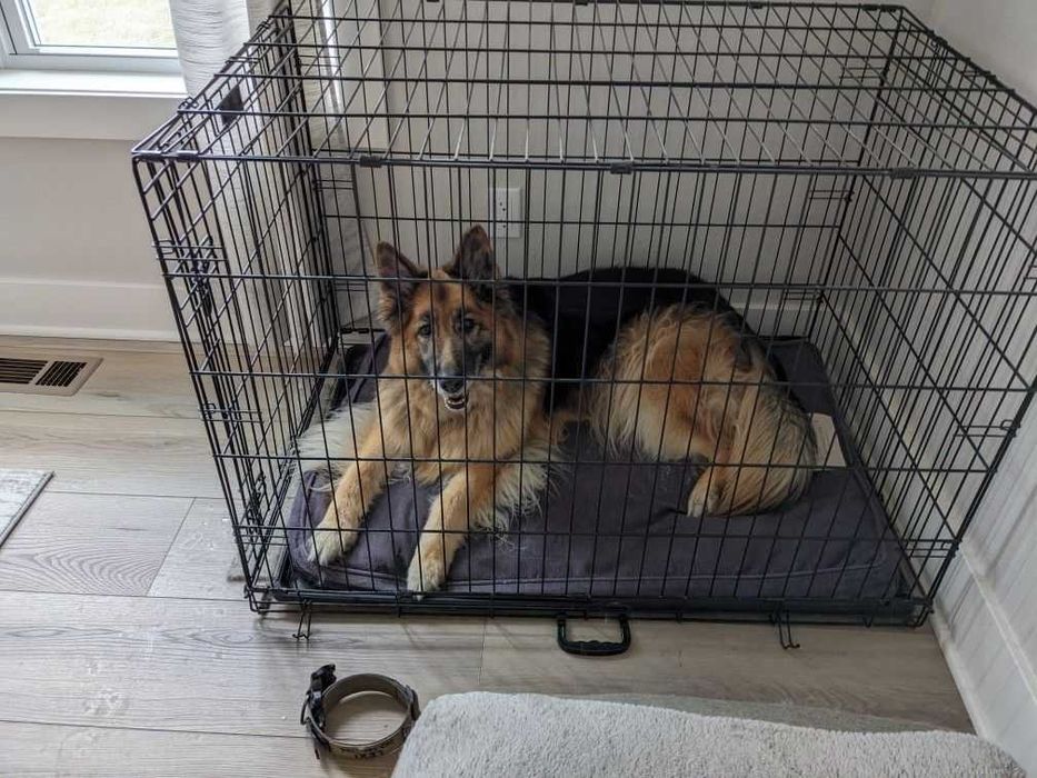 Клітка для собак Польша, клетка переноска вольер для собак XXL-X/S