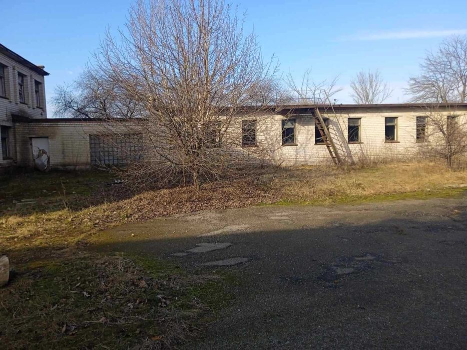 Частина комплексу будівель 1 228.2 м2, Царичанка. Першотравневий, 11
