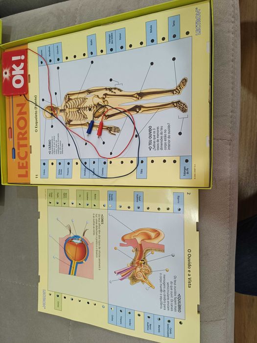 Conhece o teu Corpo +190 perguntas 7-12 anos