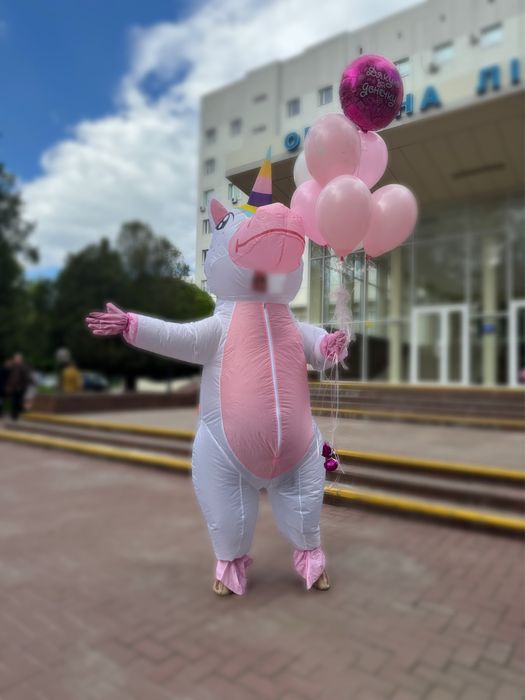 Надувной костюм криси