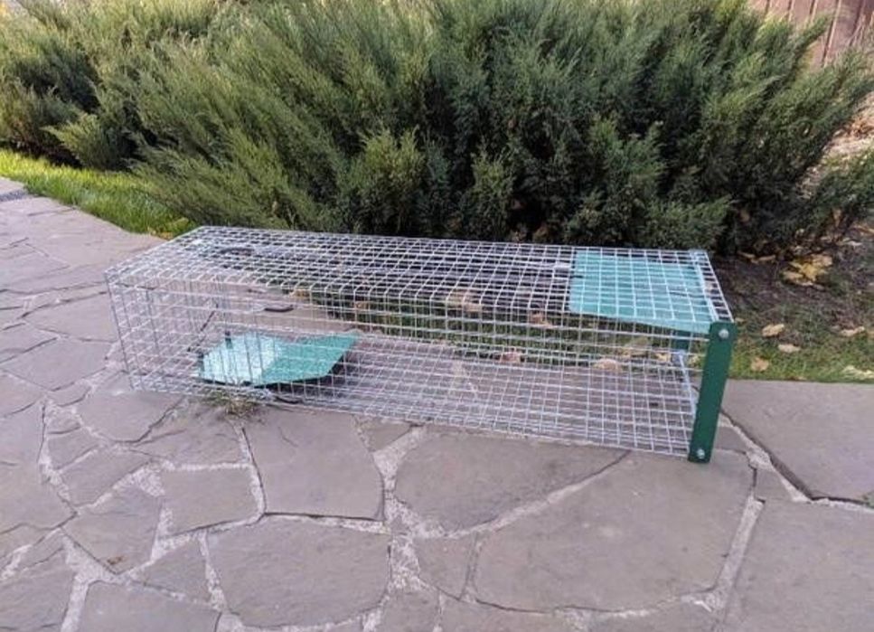 ОРЕНДА Котоловка, пастка, клітка для відлову котів, живоловка, ловушка ...