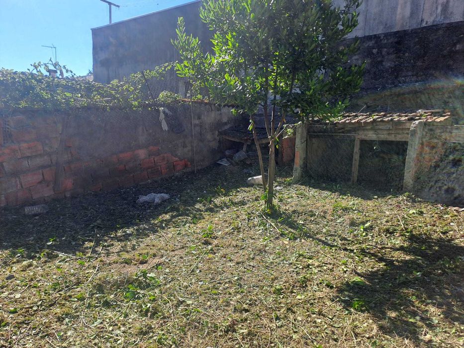 limpeza de terrenos