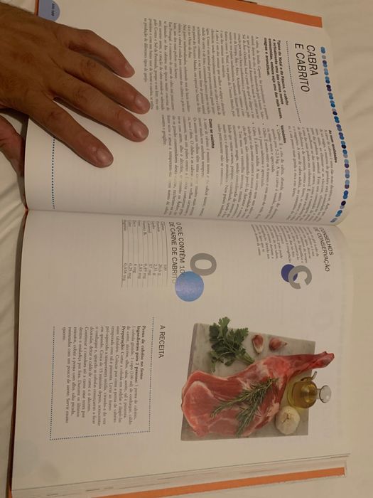 O grande livro dos alimentos - volume 2