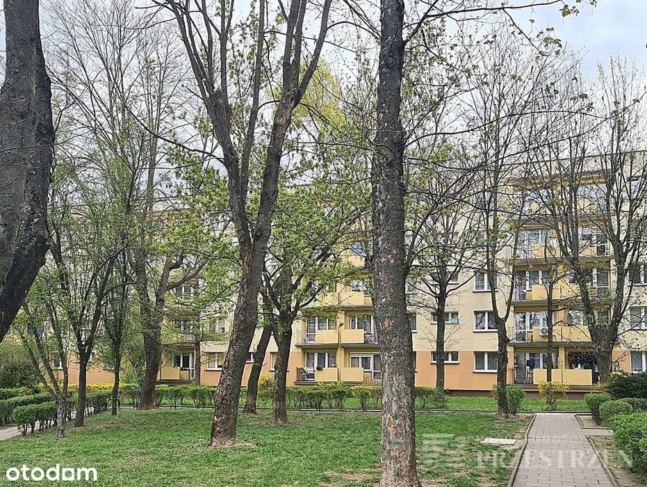 42m2, 2 pokoje, nowe instalacje, klima