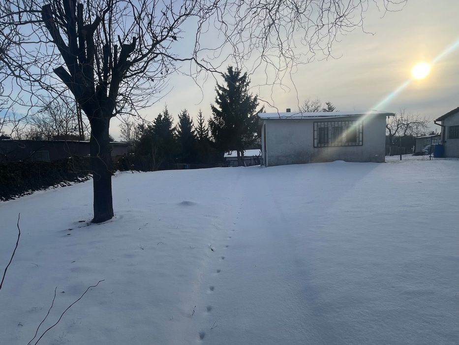 Dzialka ROD Konopnickiej Gniezno