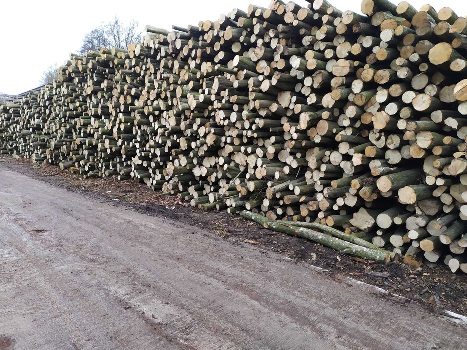 Drewno kominkowe opałowe DĄB GRAB BRZOZA OLCHA transport gratis