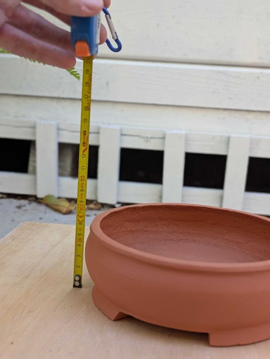 Vaso de Autor para Bonsai - Muro Vivo (MV) | 17 cm