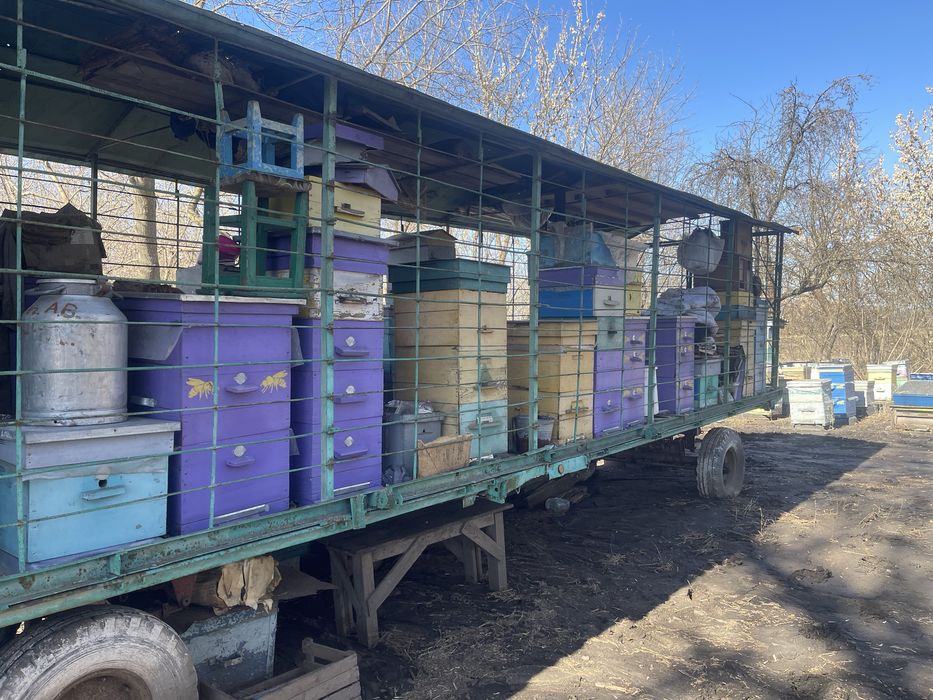 Продам пасеку улья прицеп