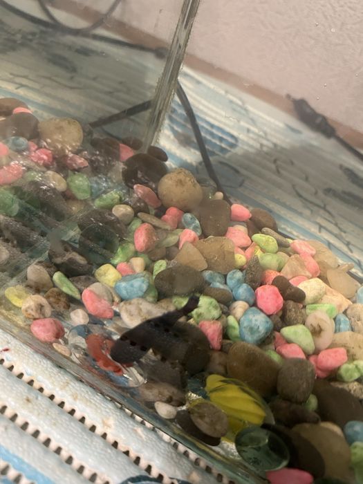 Продам два аквариума