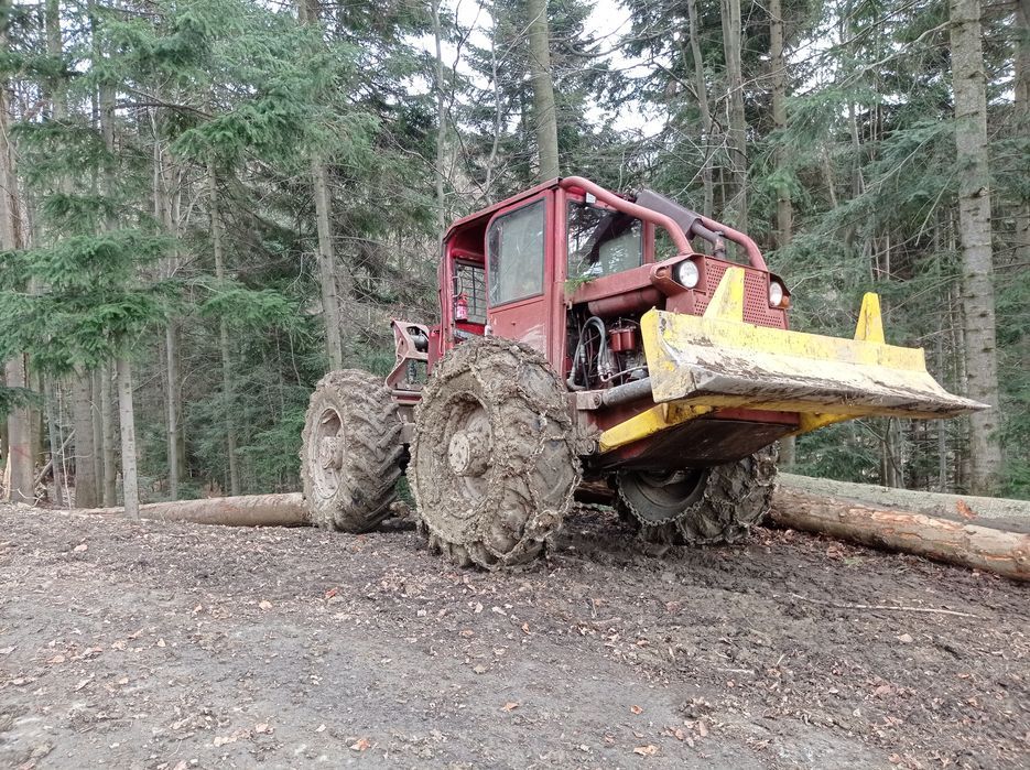 Usługi leśne , Ścinka, zrywka drzew, skup drewna cała Małopolska