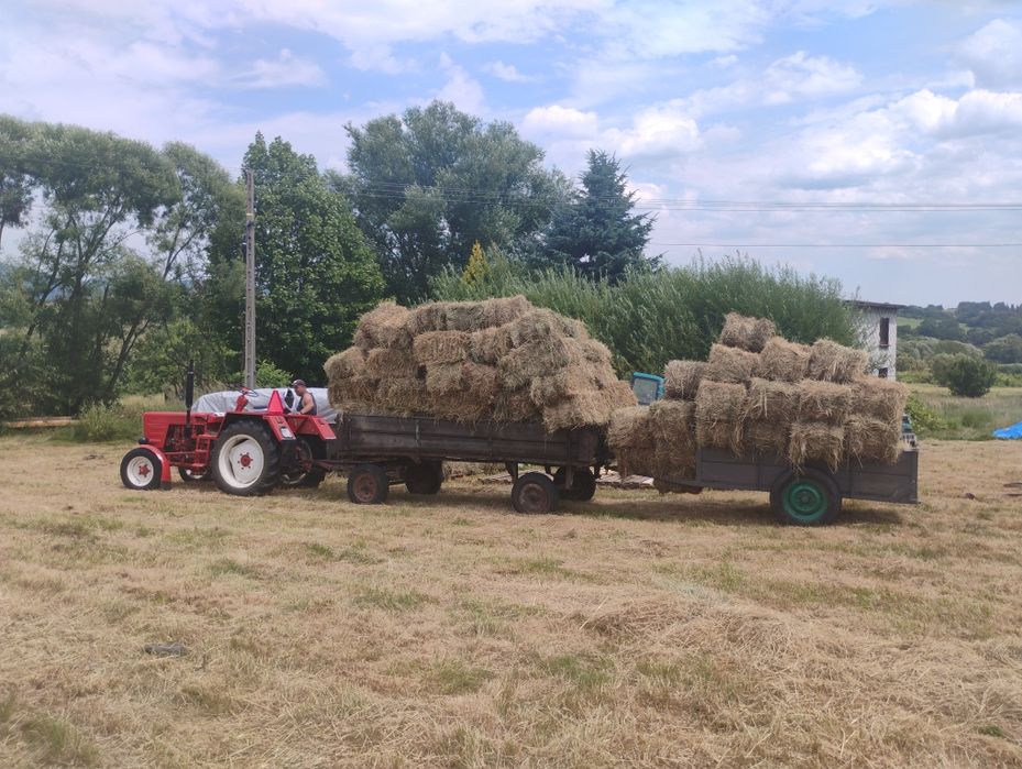 Siano słoma kostki bale