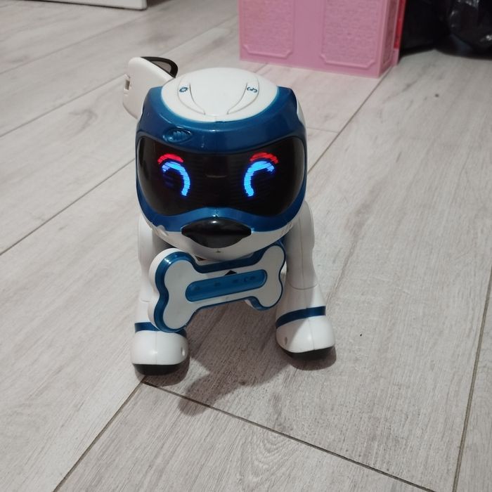 Robopies interaktywny, piłka, kość.