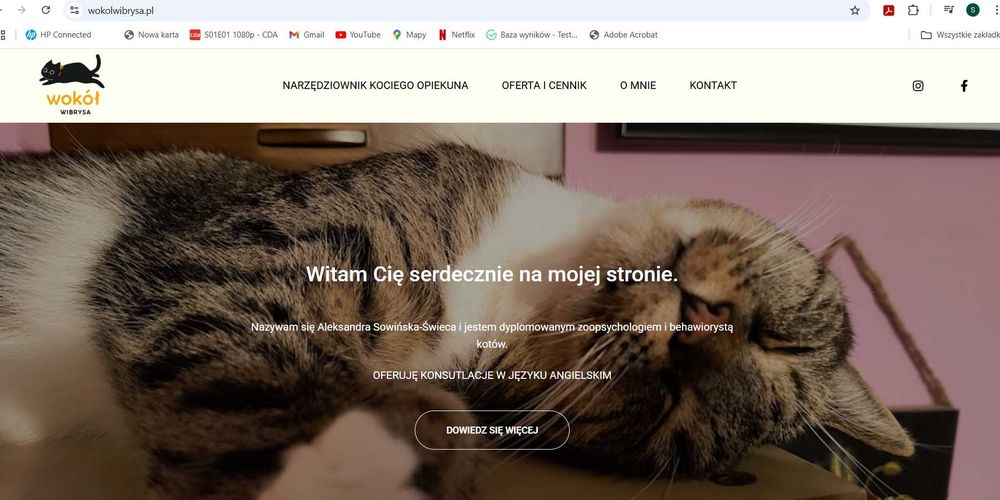 zoopsycholog behawiorysta koty online catsitting petsitter konsultacje
