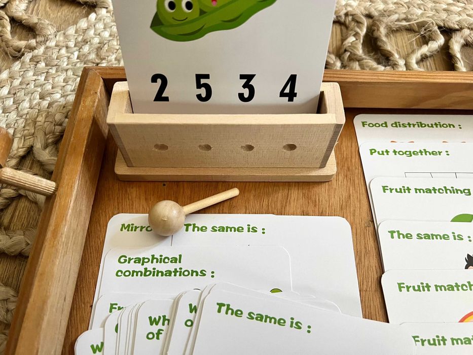 Jogo de Lógica e Pensamento Matemático - montessori