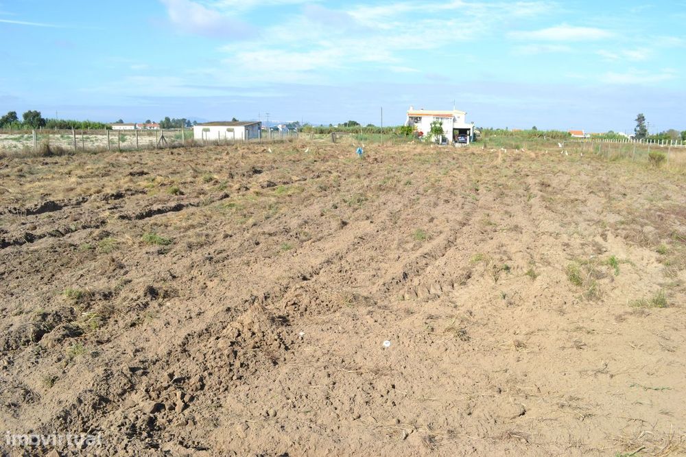 Terreno Urbano c/ viabilidade de construção