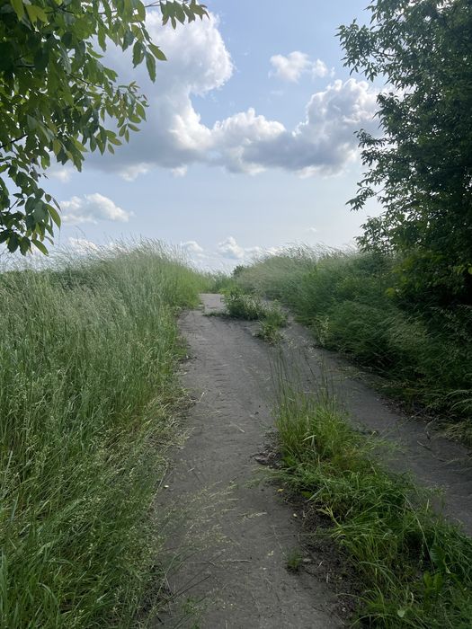 Підбірці пустомитівський район