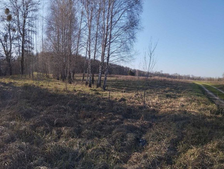 Продаж земельної ділянки