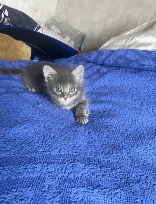 Такой красивый мальчик