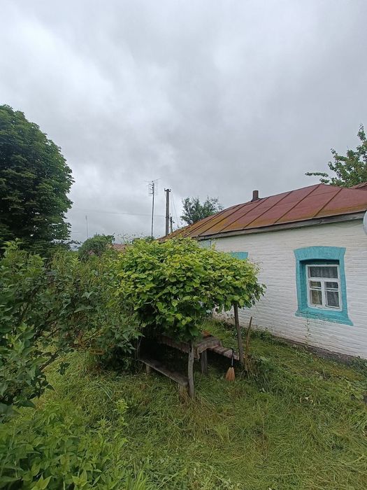 Продам житловий будинок в с. Оболоння